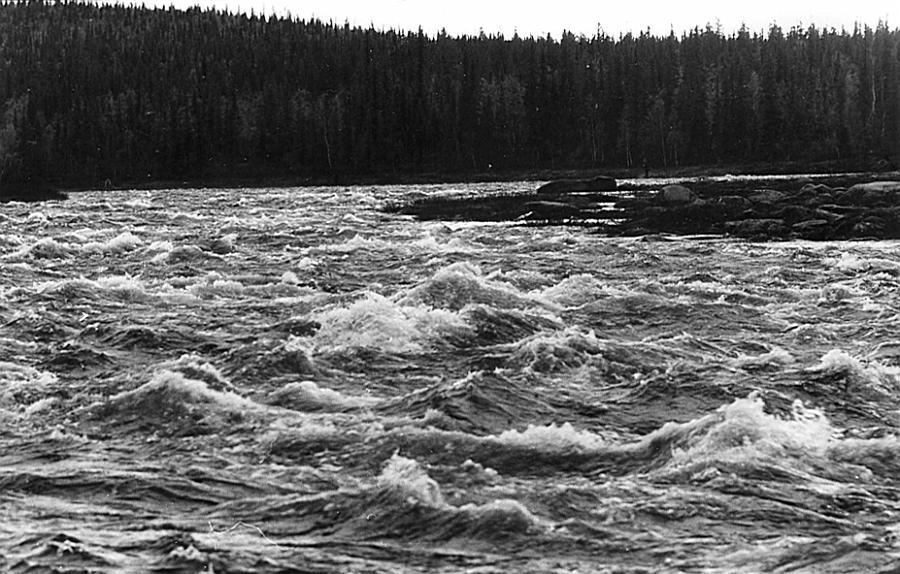 Lainio 22 E.jpg - Natt vid Nieminkorva, Temminkikurkkio.